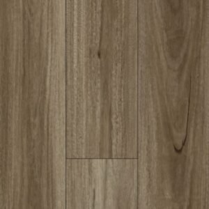 Spotted Gum (WF808)