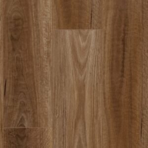 Spotted Gum (MTFA115)