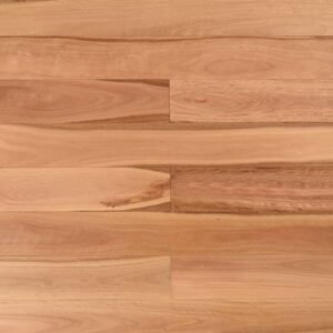 Pacific Blackbutt