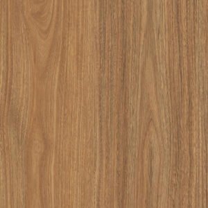 mosswood spotted gum coloured timber flooring
