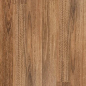 Queensland Spotted Gum