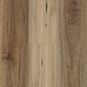 Avala Spotted Gum
