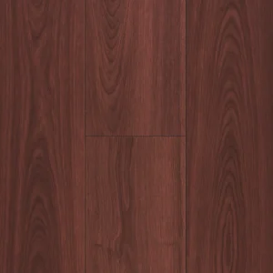 Avala Jarrah