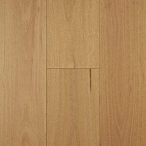 Blackbutt