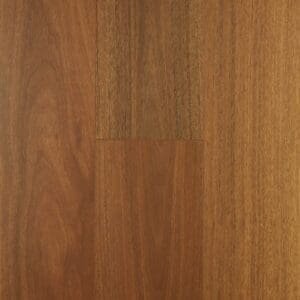 Spotted Gum